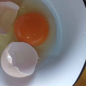 贵州农家土鸡蛋